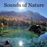 Natural Sounds